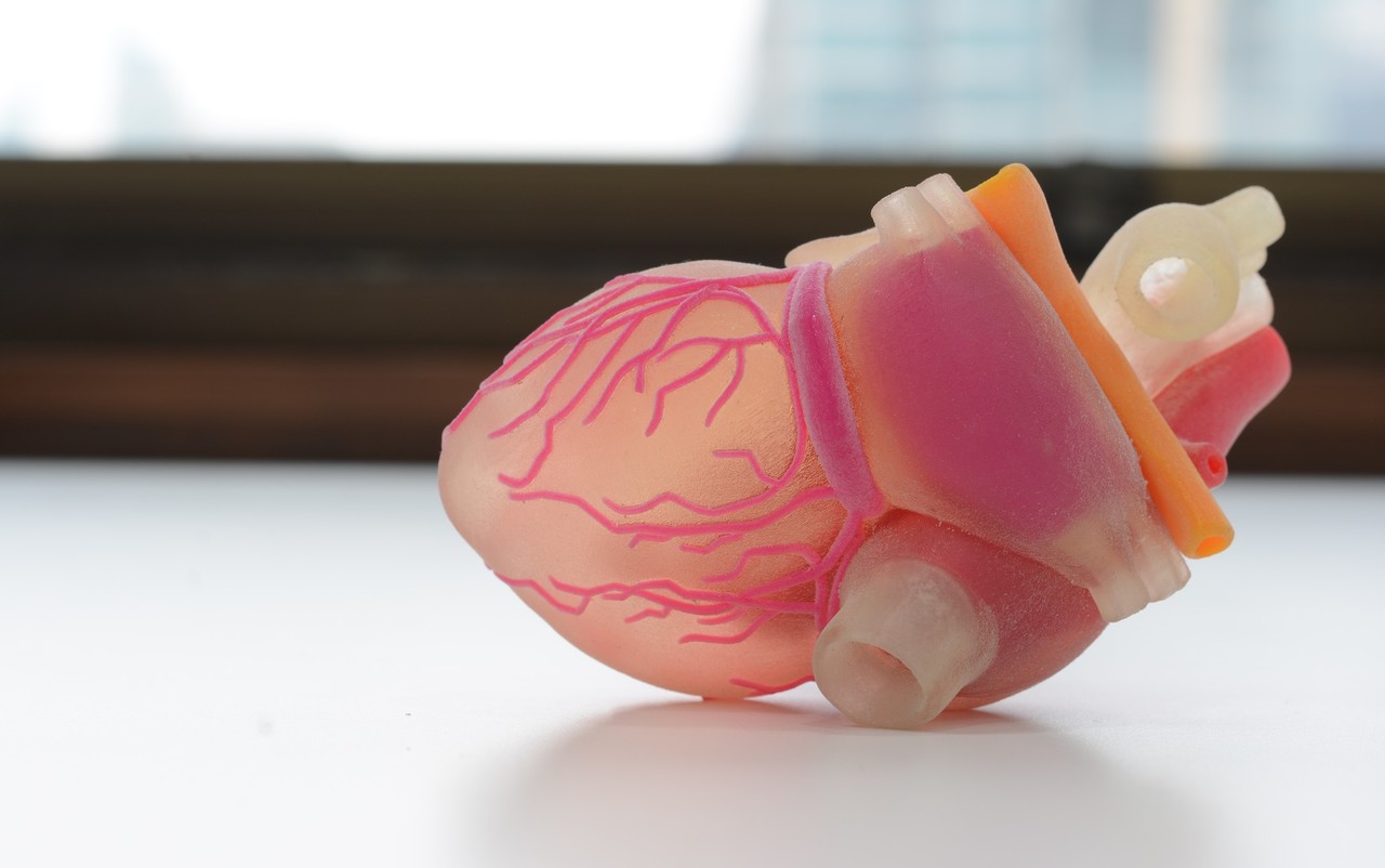 3D Yazıcılar Nedir Ve Nerelerde Kullanılır ?